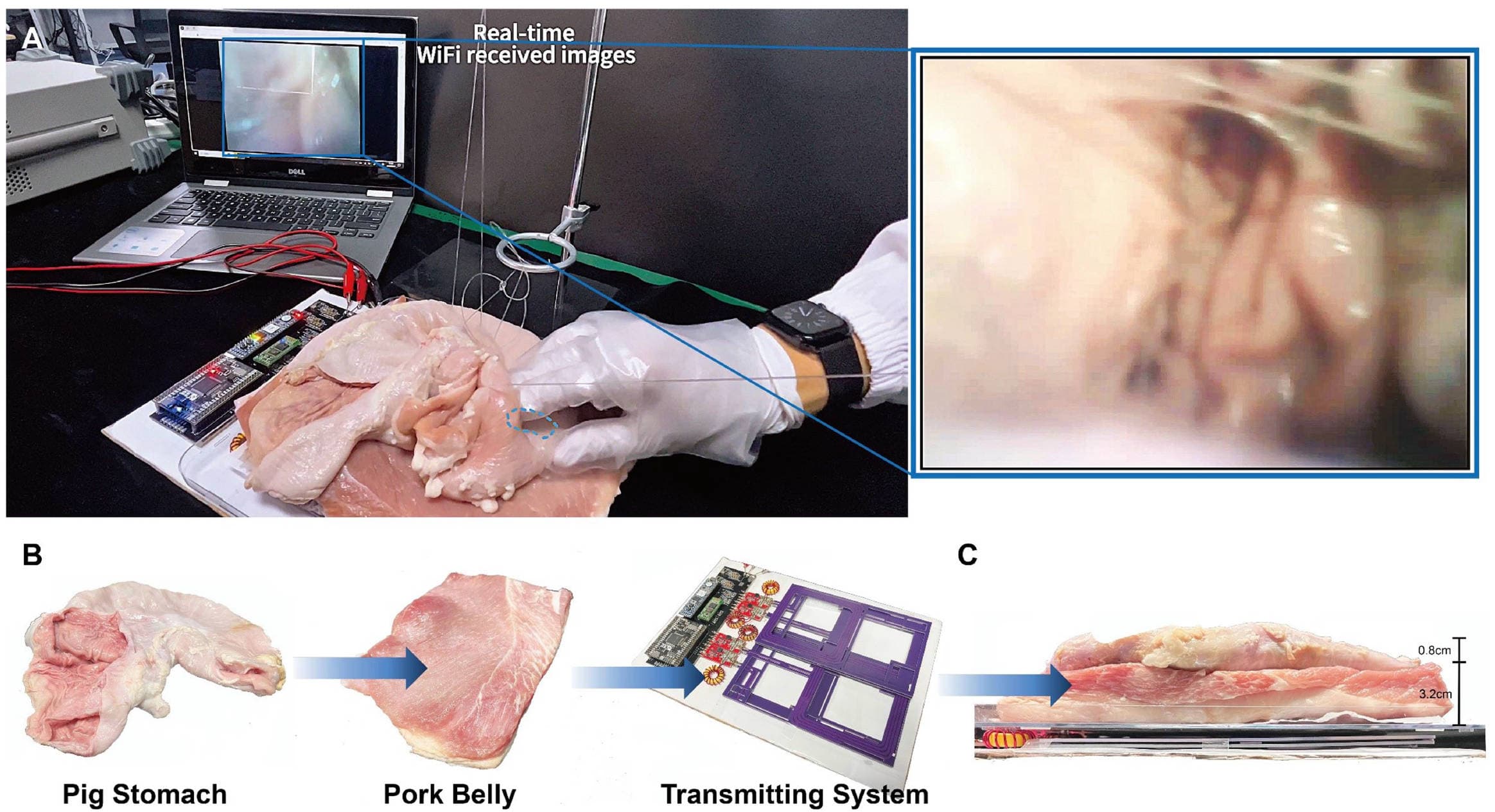 Wireless Capsule Robot Power