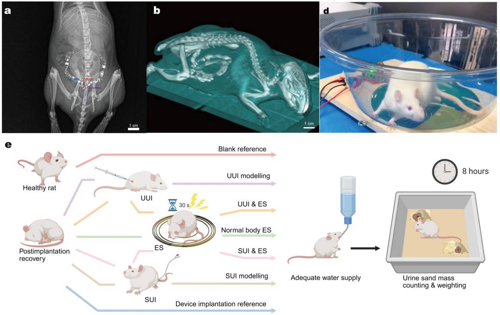 Wireless-Powered Neuromuscular Implant - Thumbnail 2